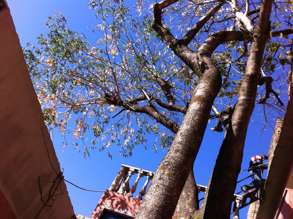 Pousada Del Rey Belo Horizonte Exterior foto